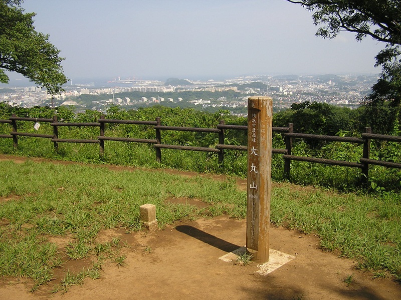 円海山・大丸山 -- 大丸山に到着