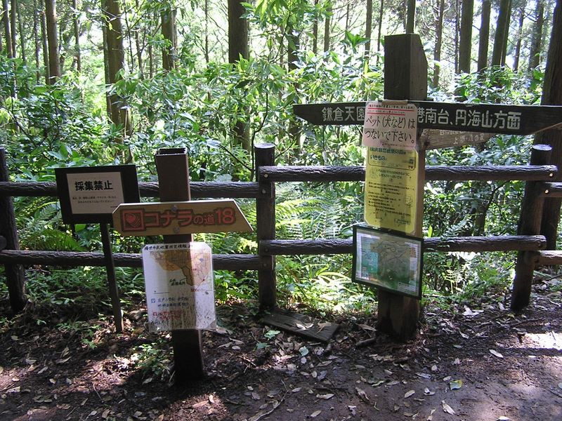 円海山・大丸山 -- 上郷森の家への分岐。鎌倉天園を目指す。
