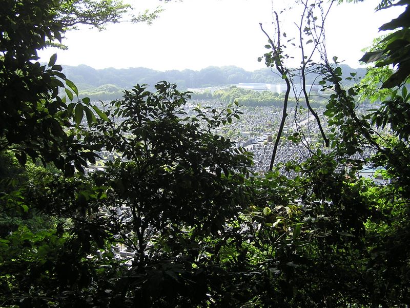 円海山・大丸山 -- 広大な霊園を右に見ながら、天園に向かう