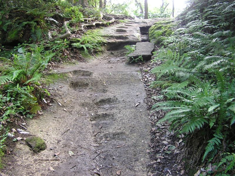 円海山・大丸山 -- 大きな岩に刻まれたステップ