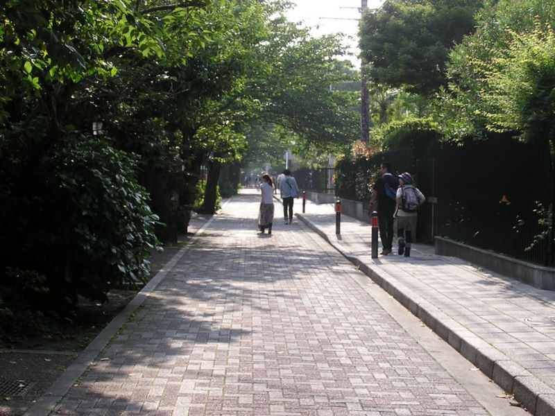 円海山・大丸山 -- 少し遠回りになるが、車を避けて石畳の道を歩く