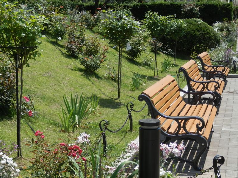 座る人のいないベンチ