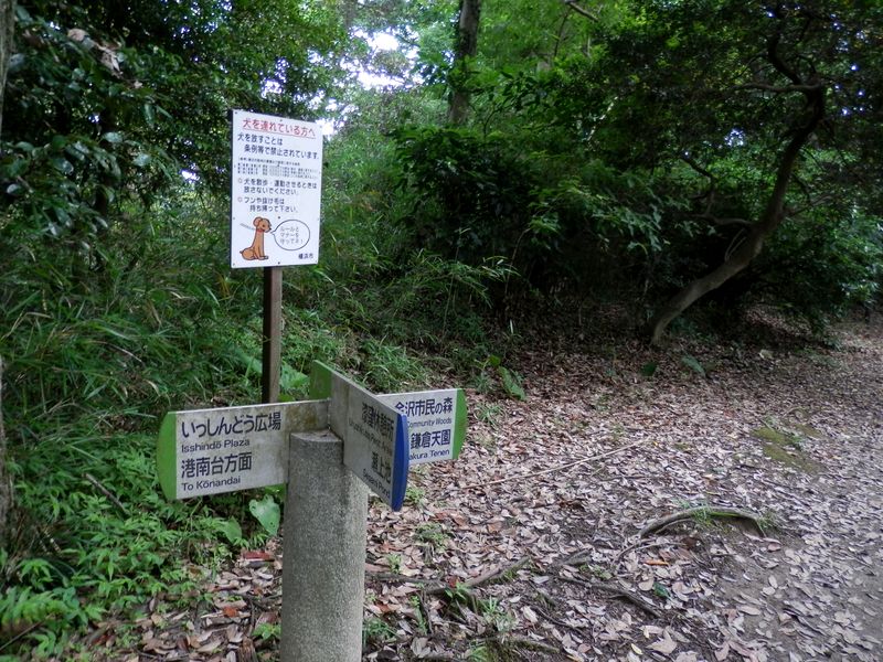 ビートルズトレイル