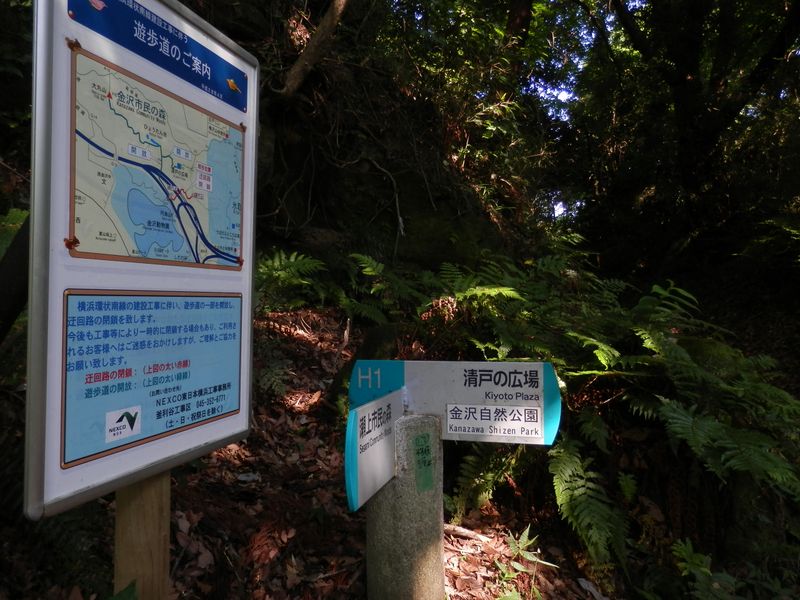 清戸の広場経由で、ひょうたん池に向かう