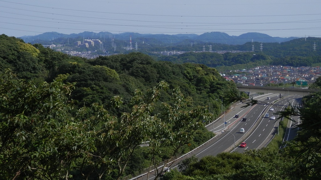 二子山や大楠山のパノラマ