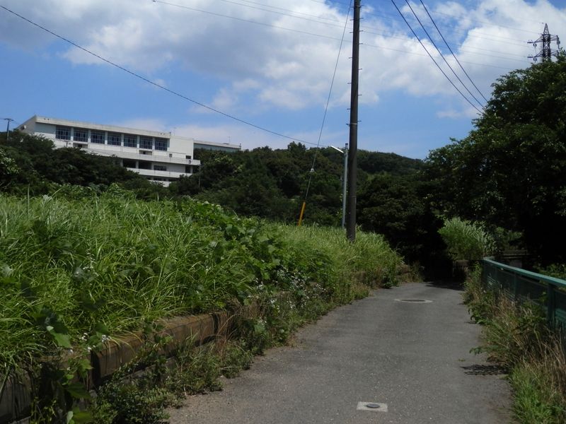 瀬上池に向かう