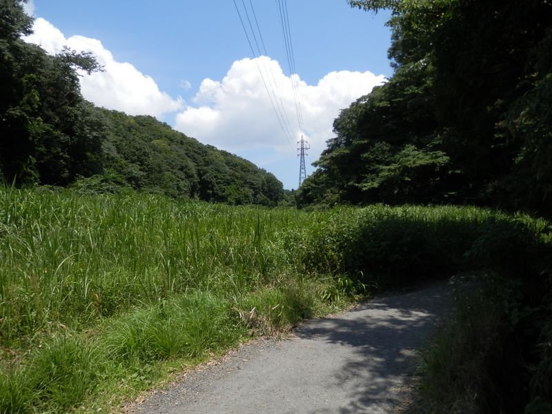 雲の峰 架線のはしり