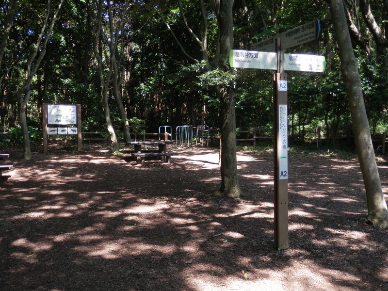 氷取沢に向かう