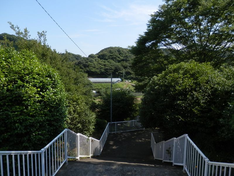 氷取沢、B1への近道