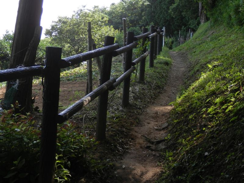 なばな休憩所に向かう