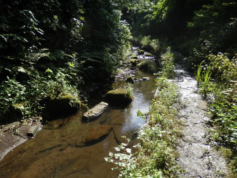 氷取沢小川アメニティ