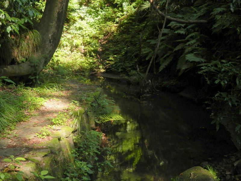 氷取沢小川アメニティ