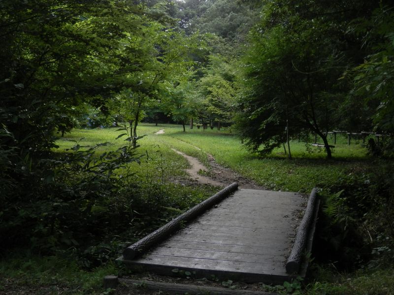 メルヘン的な緑地