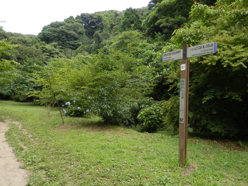 ここも、おおやと広場