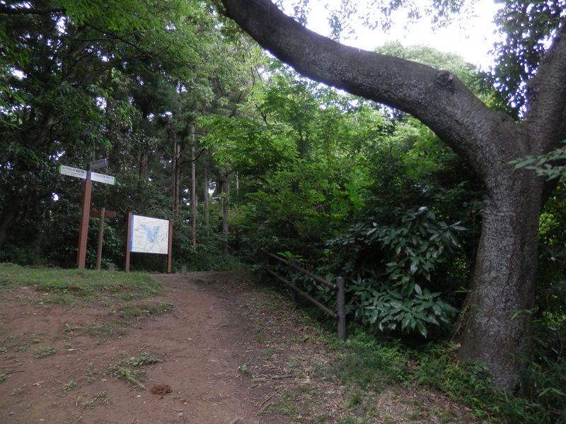 ビートルズトレイルと出合う