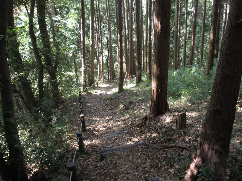 甘沼休憩所から甘沼広場に下る