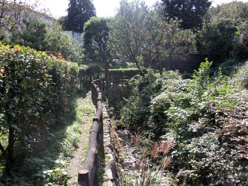 せせらぎ遊歩道を進む