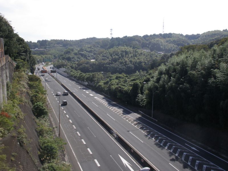「峰の橋」から円海山を望む