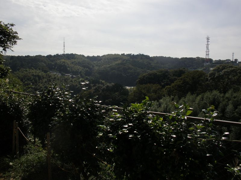 峰白山神社より、円海山を望む