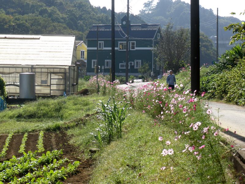 氷取沢農業専用地区