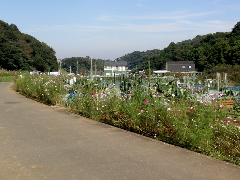 ファミリー牧場