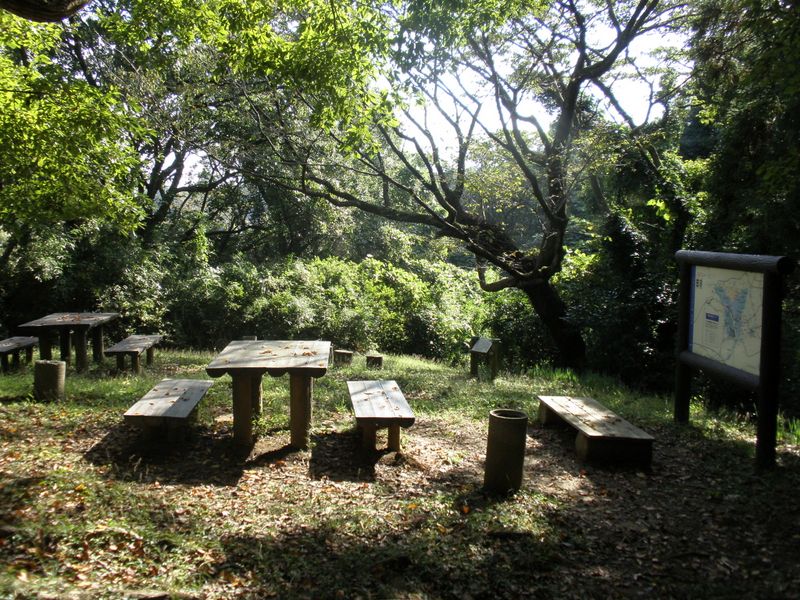 うばのふところ広場--春にはあの桜が咲く