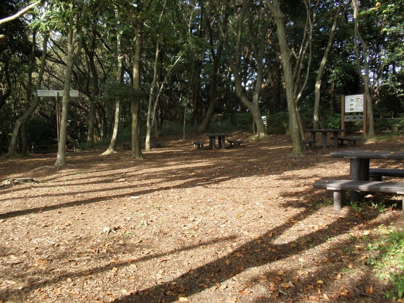 いっしんどう広場