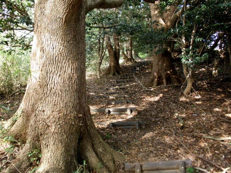 道場丸広場方面を振り返る