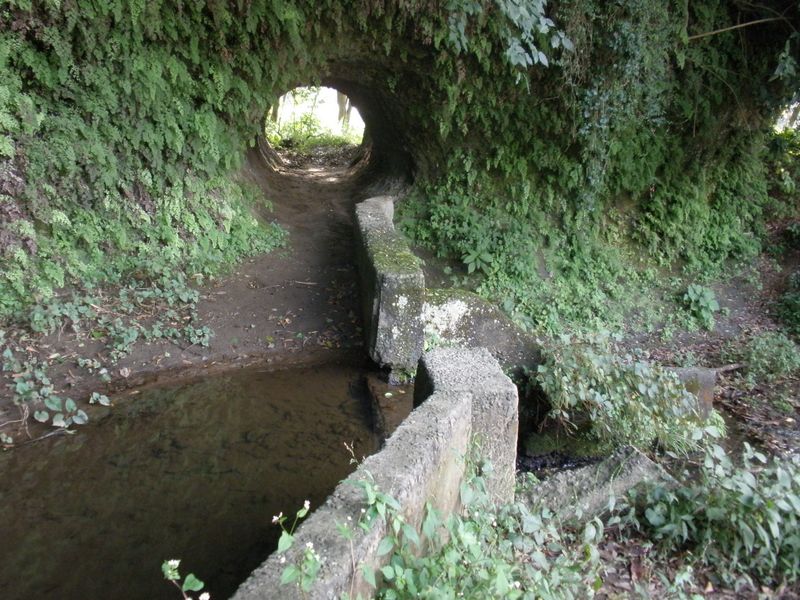 江戸時代に造った、トンネルと堰