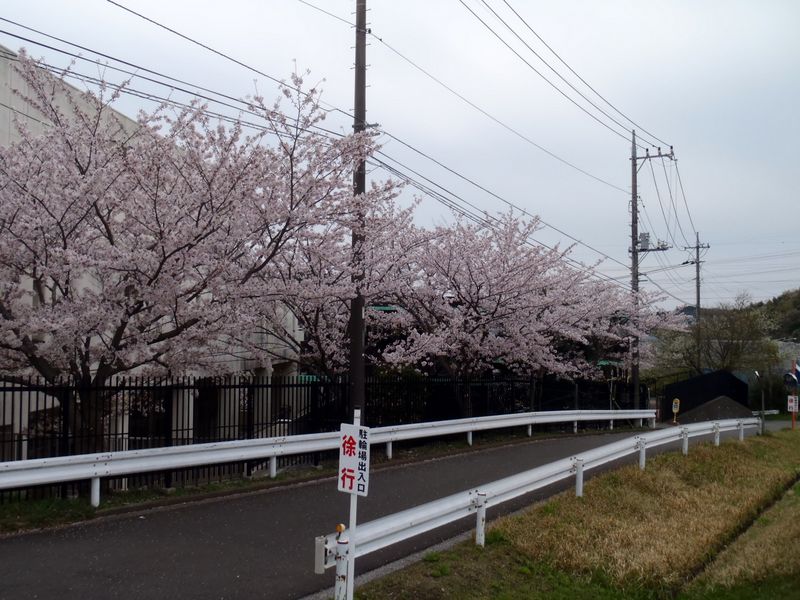 栄高校のわきを下りて
