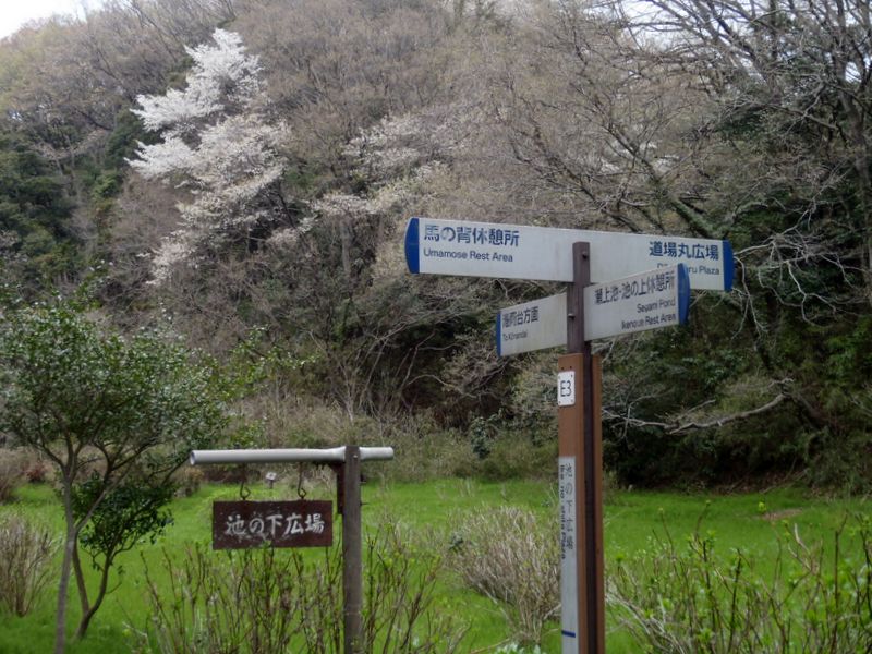 池の下広場から