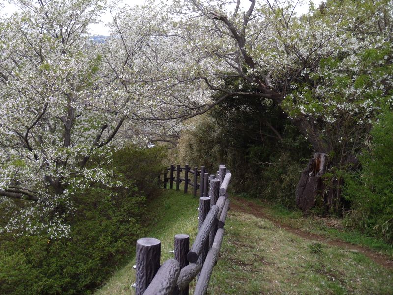 いずれ歩くつもり