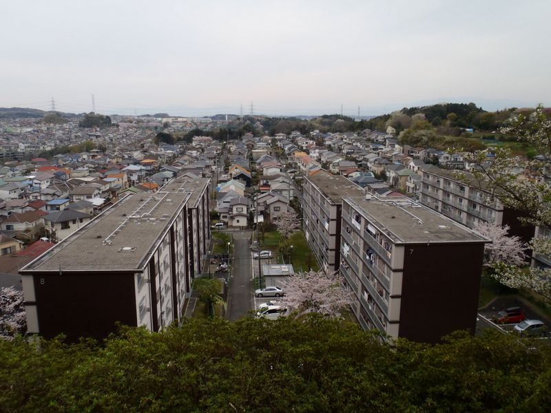 大きな富士山？