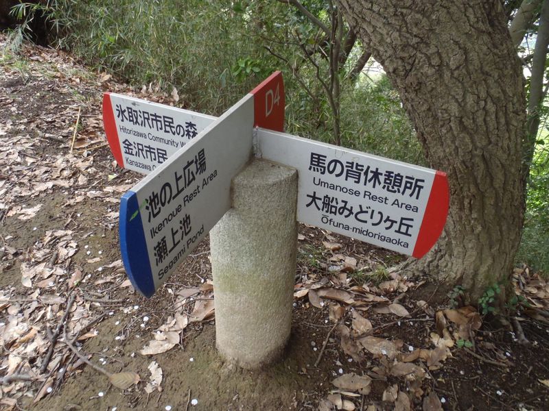 金沢市民の森に進む