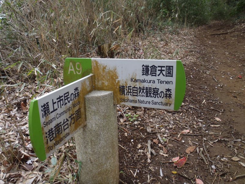 尾根道へ
