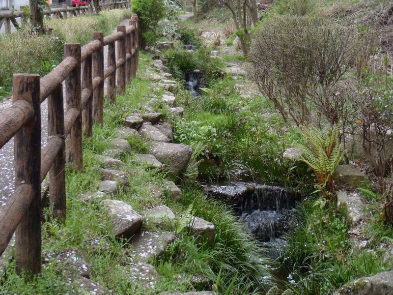 いたち川小川アメニティ