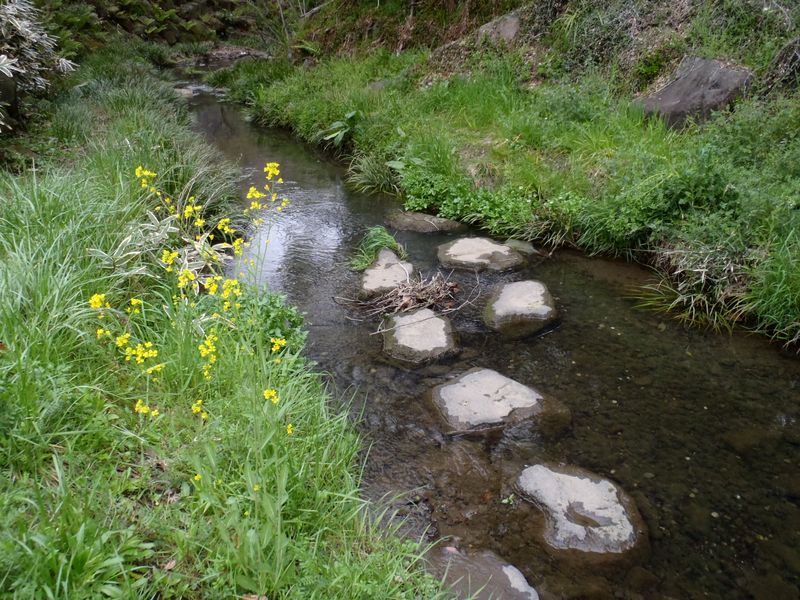 いたち川（鼬川）