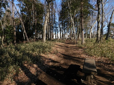 町田フットパス：金森天神山市民の森