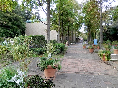 町田フットパス：町田市立国際版画美術館