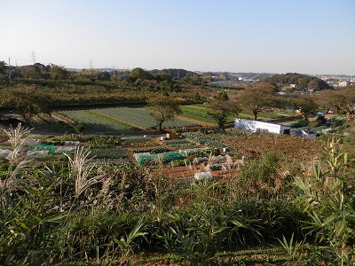 町田フットパス：鎌倉街道早ノ道から、岡上営農団地を望む