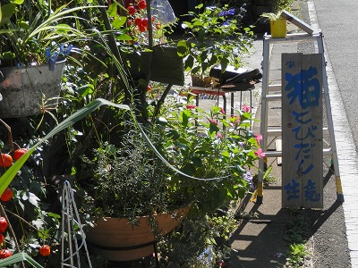 町田フットパス：猫とびだし注意