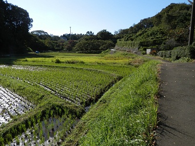 町田フットパス：土橋谷戸