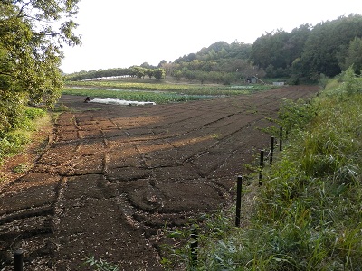 町田フットパス：長津田の里山