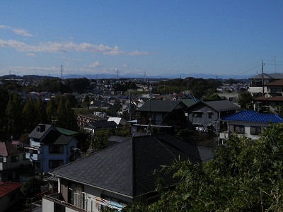 町田フットパス：鶴川台尾根緑地を望む