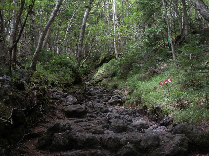 ゴツゴツした溶岩の登山道