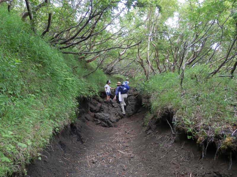 この土の色は関東平野の色