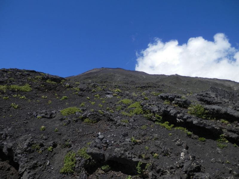 七合目大陽館より、山頂を見上げる