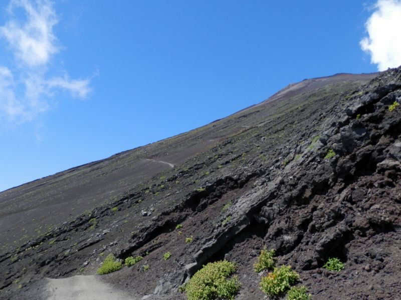 山頂付近の稜線を見上げる