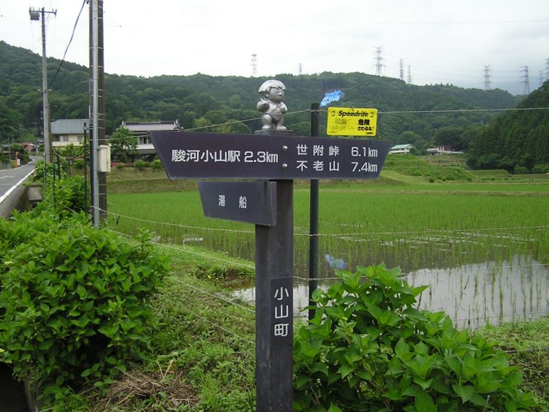 不老山 -- 向うの山の崩壊地に掛けられた青いシートが見える