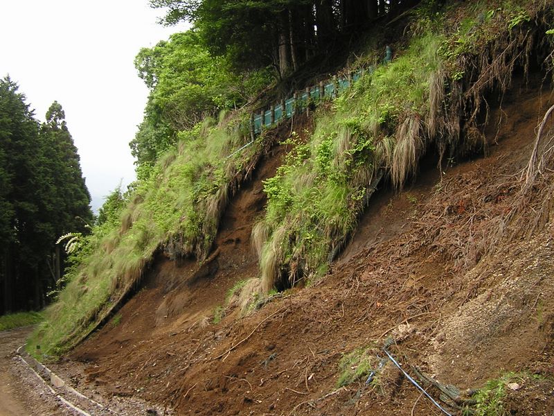 不老山 -- 所々に残る大水の爪あと